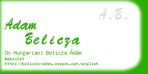 adam belicza business card